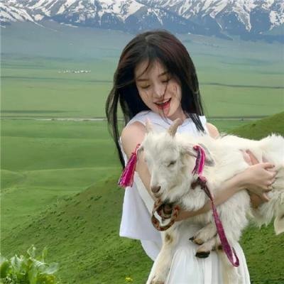 世界中心只有孤独封面