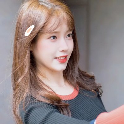 红尾鸽封面